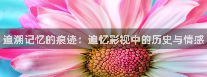 青苹果伦理影院：追溯记忆的痕迹：追忆影视中的历史与情感