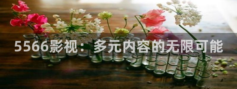 伦理影大全：5566影视：多元内容的无限可能