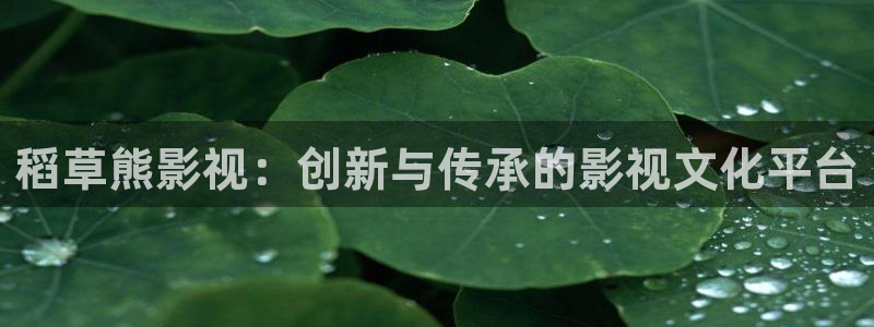 欧美成人伦理影院：稻草熊影视：创新与传承的影视文化平台