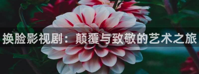 我不卡伦理影视：换脸影视剧：颠覆与致敬的艺术之旅